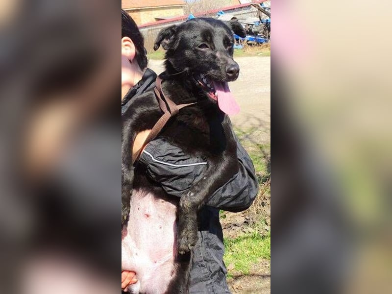 SUZIE sehnt sich so nach Liebe