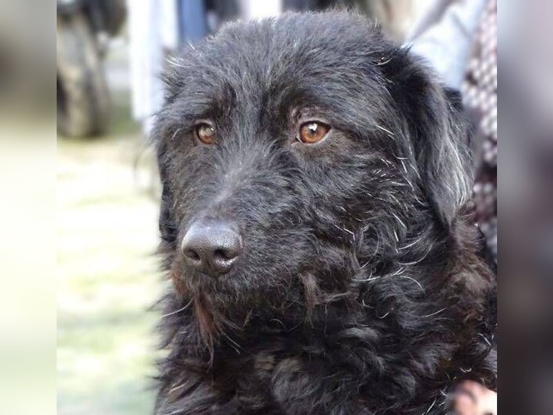 BEBA hofft auf Lebensretter