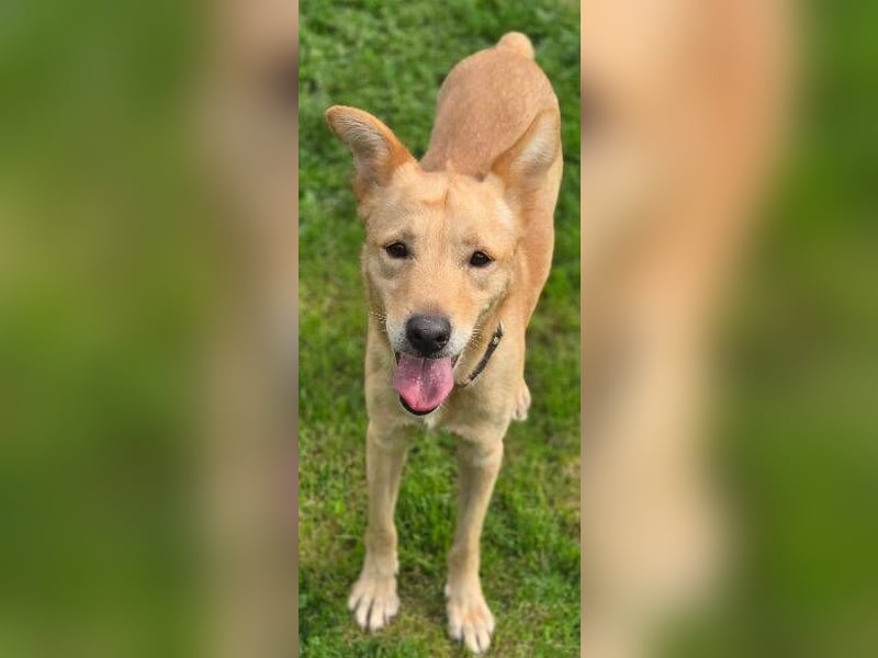 BONI ist sehr liebevoll