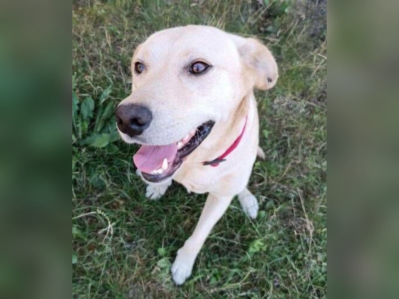 REXI ist ein Goldschatz REXI ist ein Goldschatz