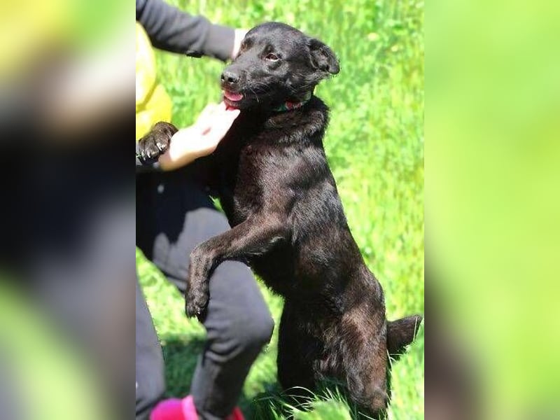 KLARA -wer ist ihr Retter in der Not?