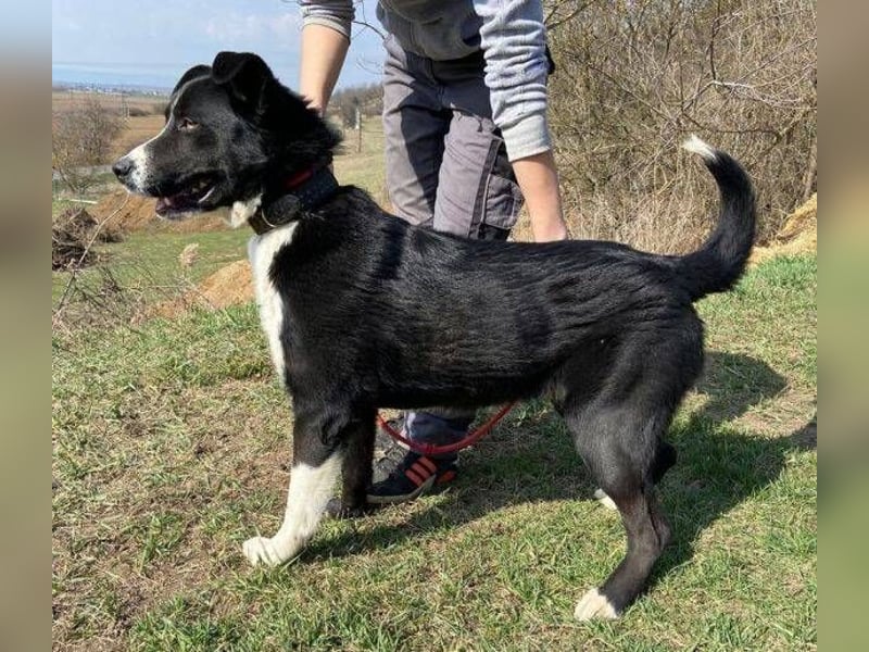 MANY wer tröstet ihn?