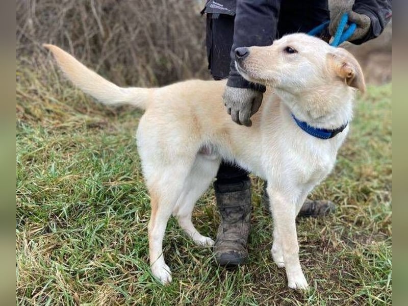 DARO wurde eiskalt ausgesetzt