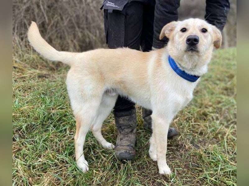 DARO wurde eiskalt ausgesetzt