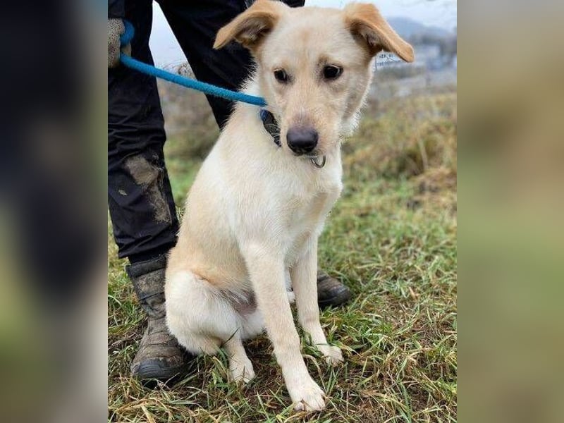 DARO wurde eiskalt ausgesetzt