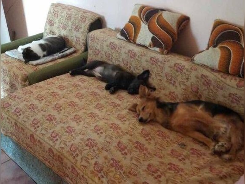 NINA 2 ist ei  Schnuckelchen