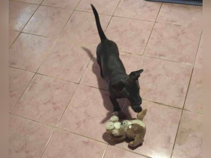 NINA 2 ist ei  Schnuckelchen