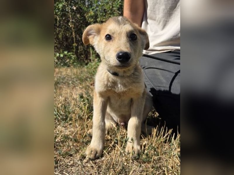 PAUL der kleine Bub wurde ausgesetzt