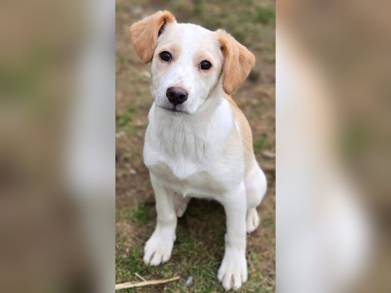 ANMARIE hofft so sehr auf ein Zuhause