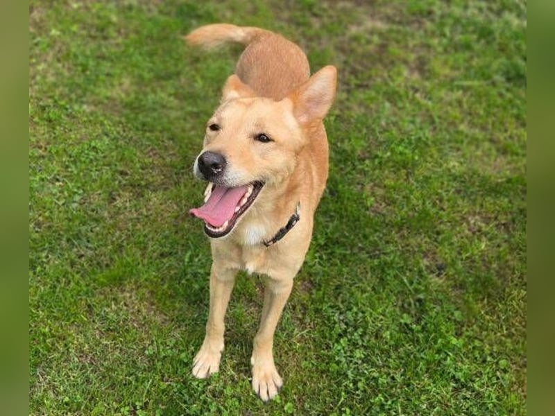 BONI ist sehr liebevoll