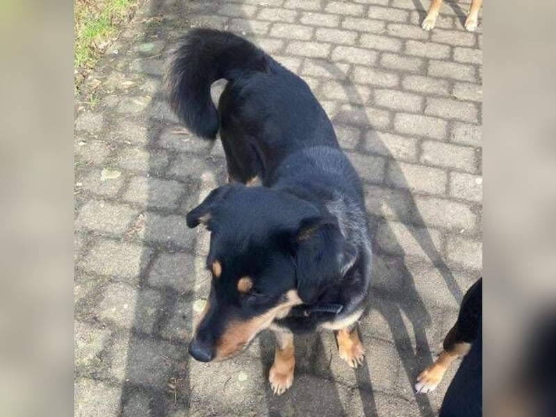 LENKA ist eine ganz sanft Seele