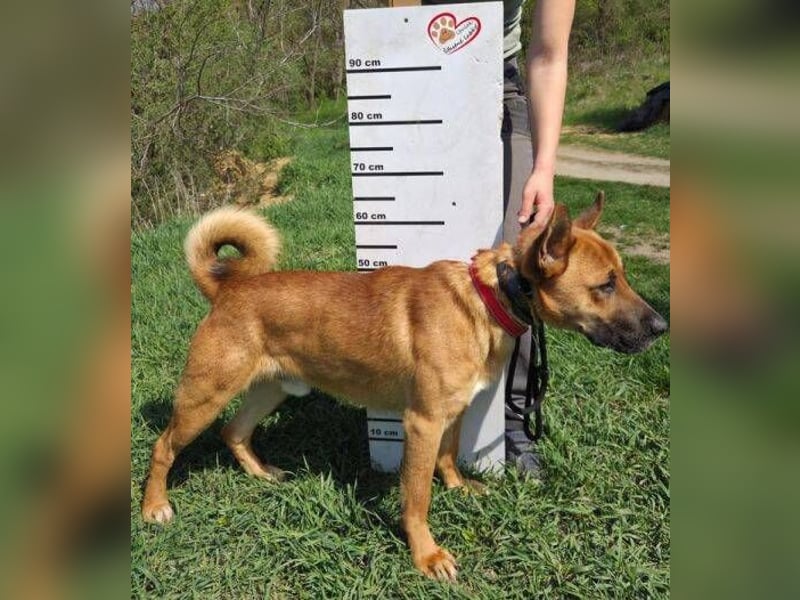 TOM 2 ist auf der Suche nach dem großen Glück