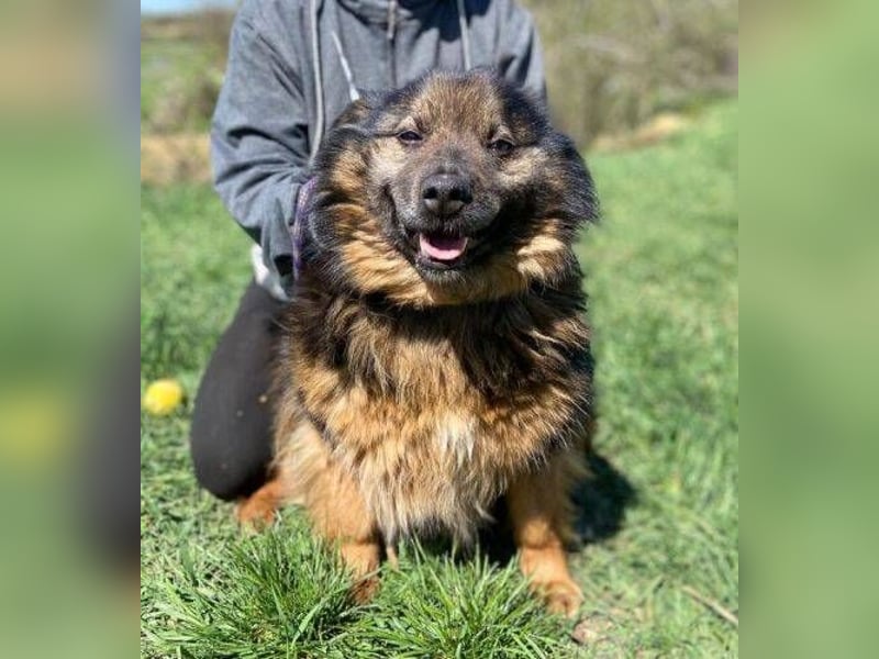 BUGY musste ein elendes Leben fristen