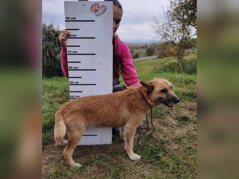 ELZA 2 ist super nett und freundlich