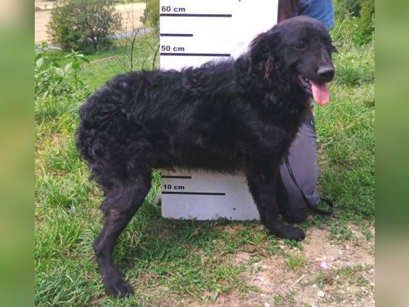 ALVARO war einsam und verlassen