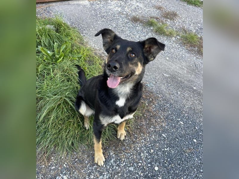 SARIO hatte einen Schutzengel