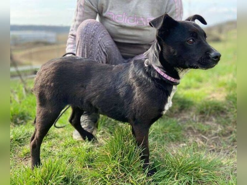 HAPPY  wurde eiskalt ausgesetzt