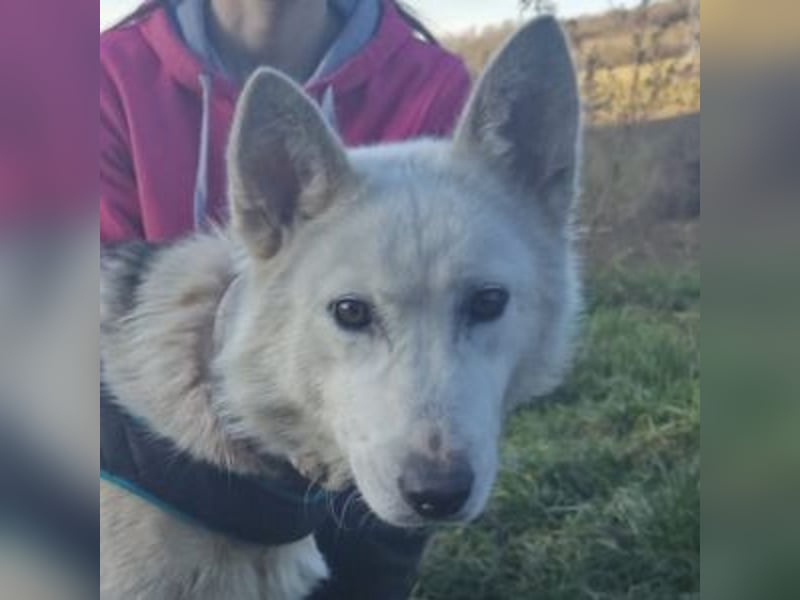 ADRIENA ist verspielt und freundlich