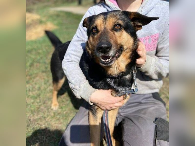 ALFA sehnt sich so nach einer Familie