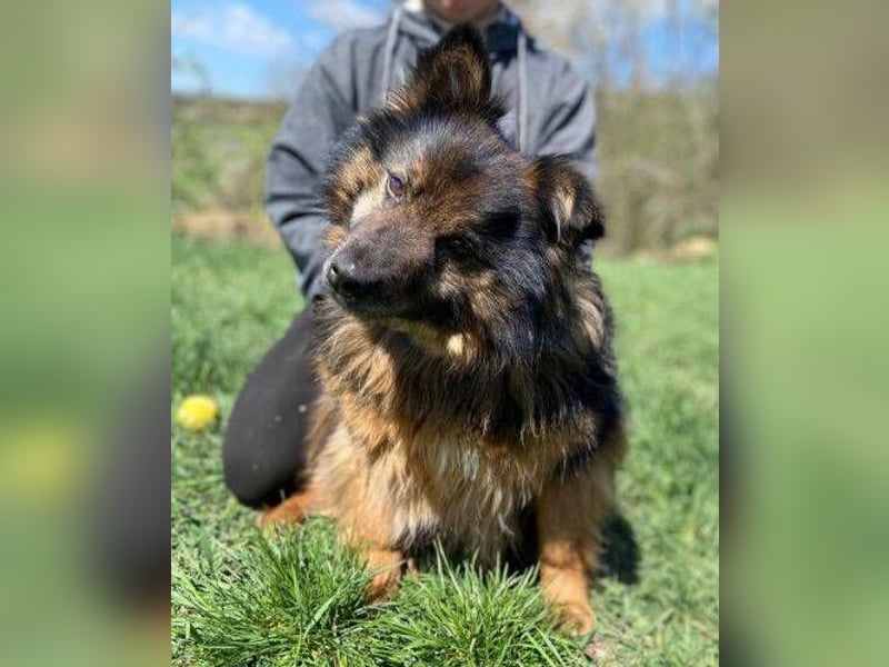 BUGY musste ein elendes Leben fristen