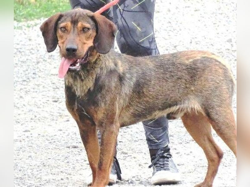 DONNIE braucht Lebensretter