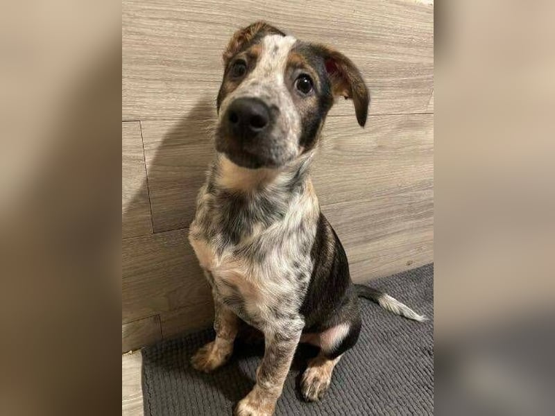 DENY wurde verlassen gefunden