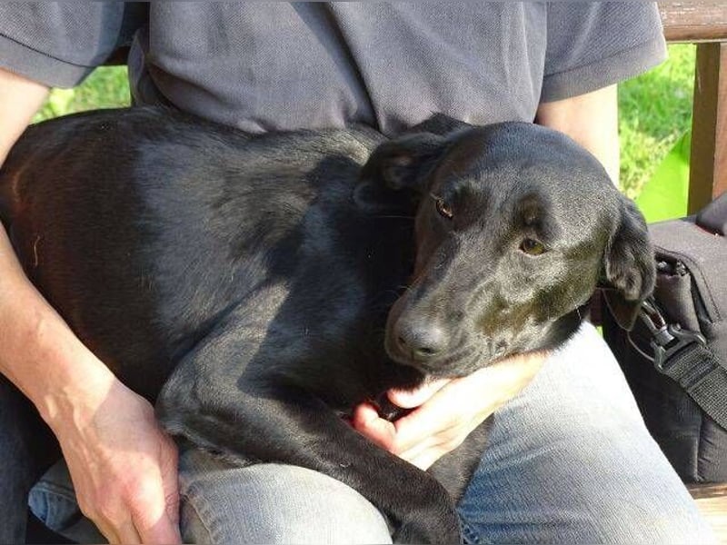 LUNA lechzt nach Liebe 