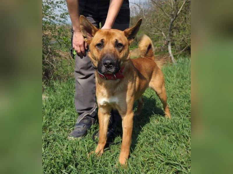 TOM 2 ist auf der Suche nach dem großen Glück