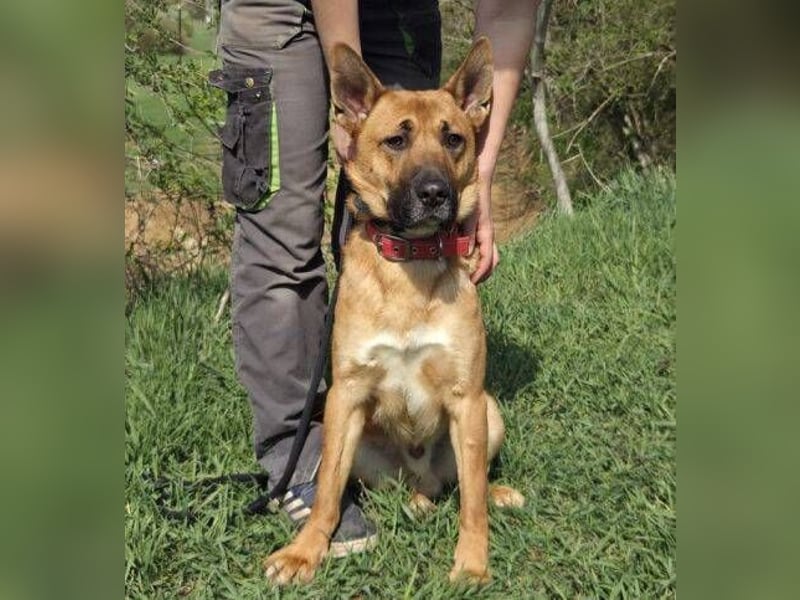 TOM 2 ist auf der Suche nach dem großen Glück