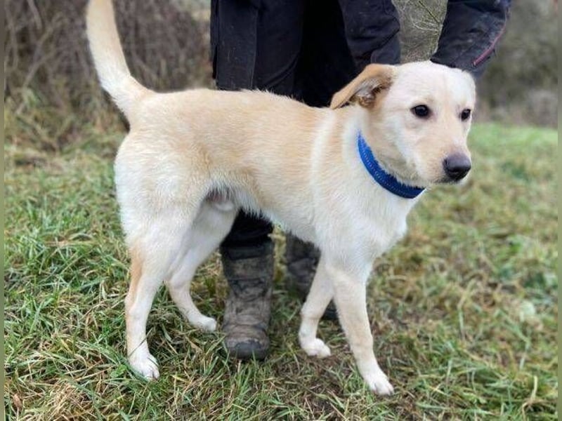 DARO wurde eiskalt ausgesetzt