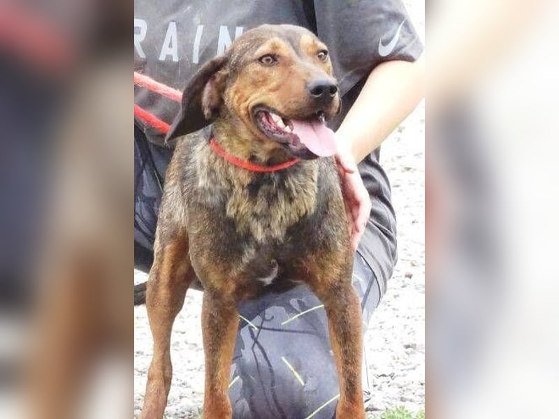 DONNIE braucht Lebensretter