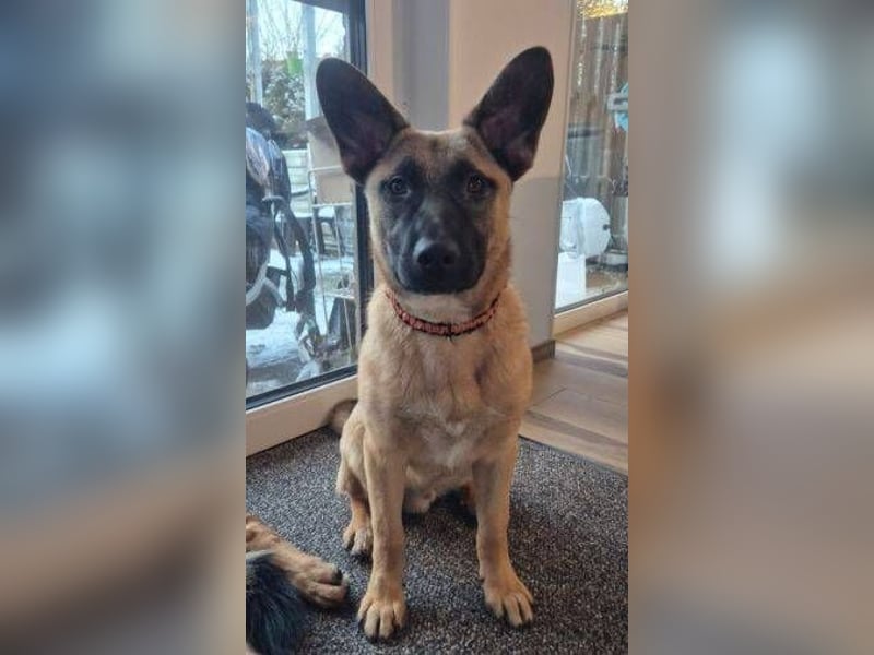 XARO verspielt und aufgeschlossen