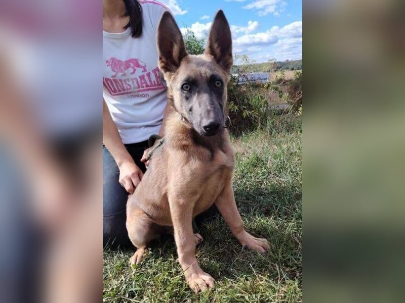 SADIE  ist superfreundlich