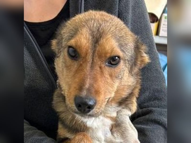 SADY ist einfach bezaubernd