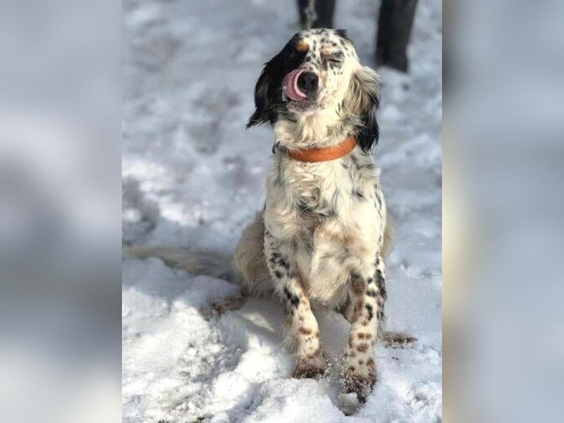 ZEYNA bildschön und sehr lieb