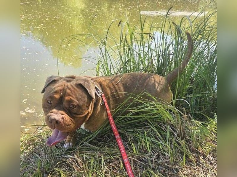 MAX sein größter Wunsch ist eine Familie