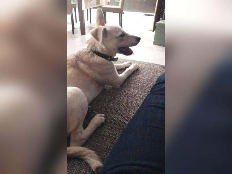 PEDRO süsses Pelzbaby