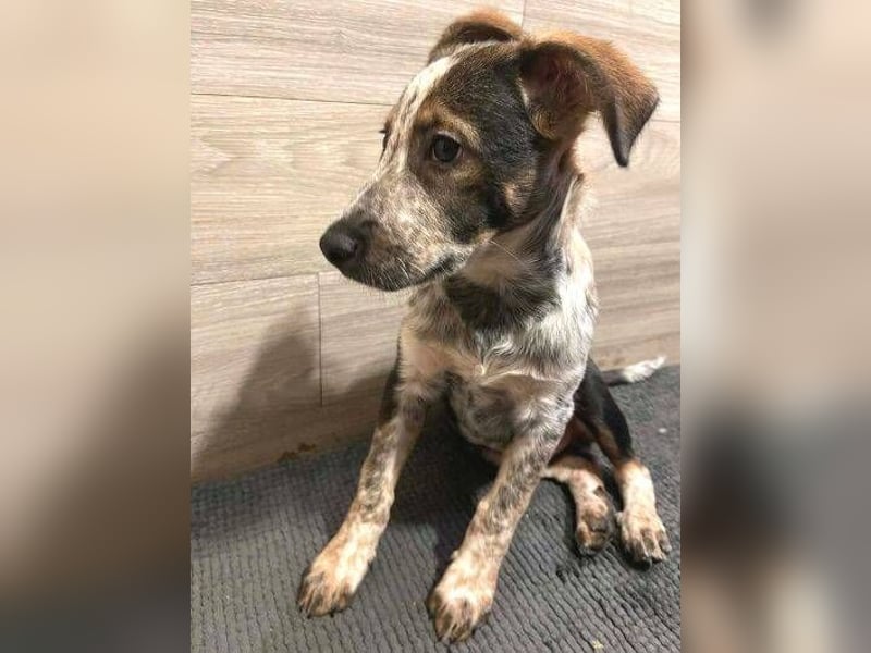 DENY wurde verlassen gefunden