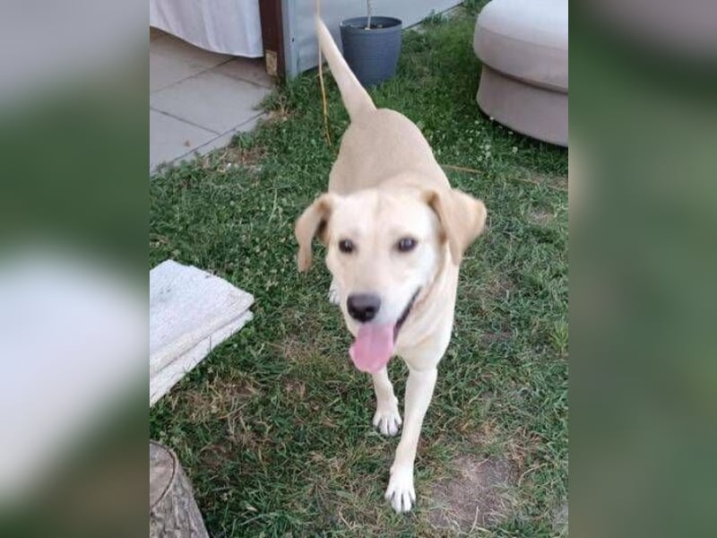 REXI ist ein Goldschatz REXI ist ein Goldschatz