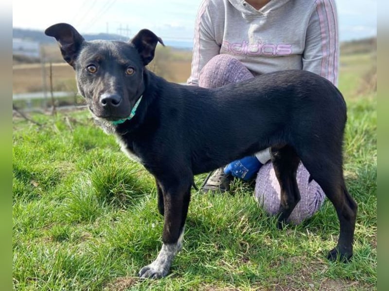 HAPPY  wurde eiskalt ausgesetzt