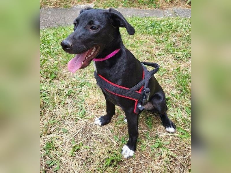 ELLA ist ganz zauberhaft