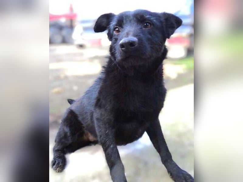 TEA muss um ihr junges Leben zittern