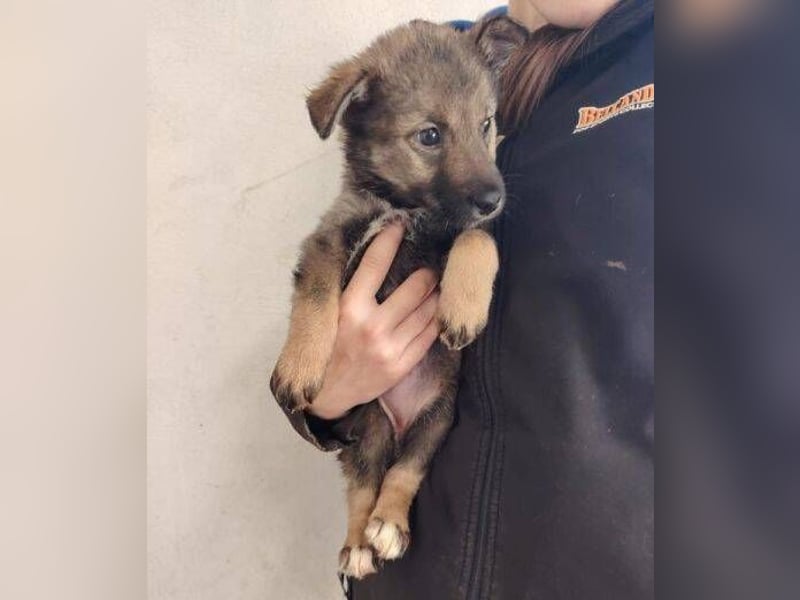 DUNJA das Baby wurde einfach zurück gelassen