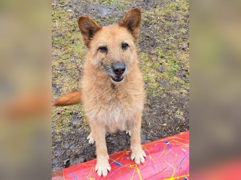 ELZA 2 ist super nett und freundlich