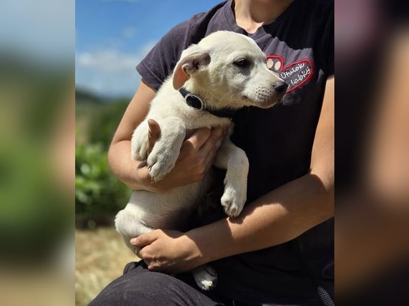 CLEO wer schenkt dem Baby Liebe und Geborgenheit?