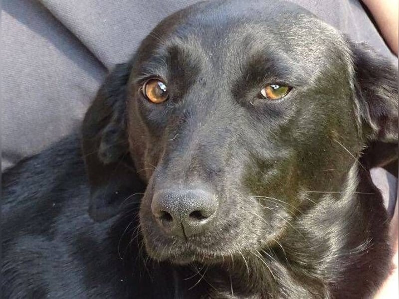 LUNA lechzt nach Liebe 