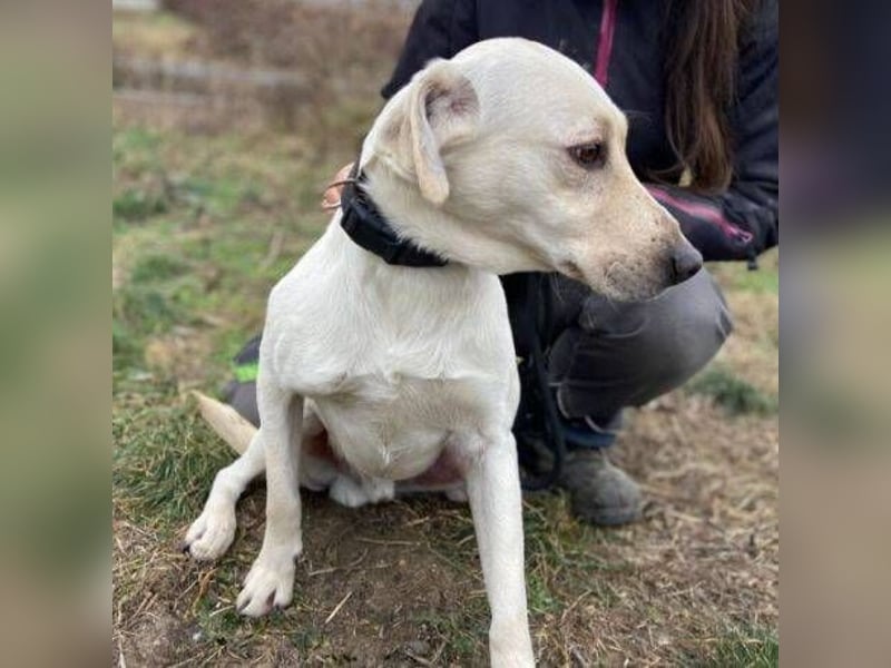 MAYLO braucht Liebe und Zuwendung