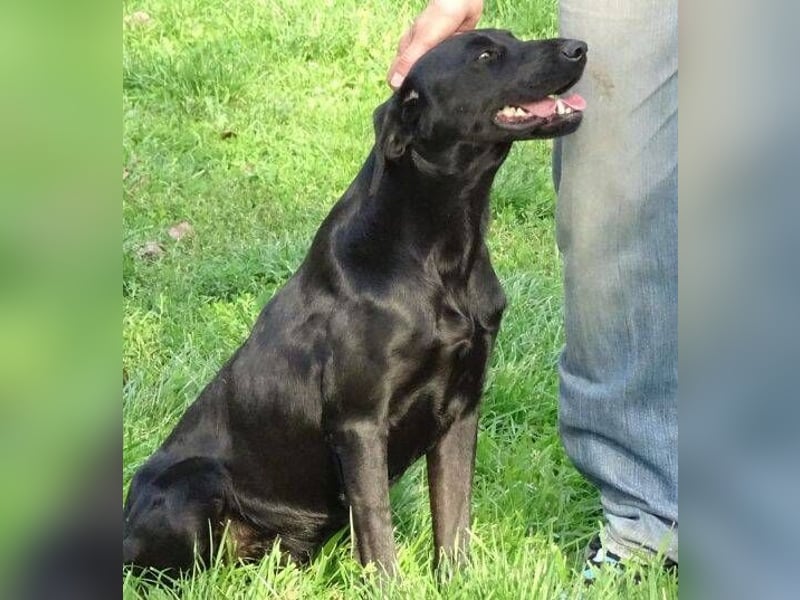 LUNA lechzt nach Liebe 