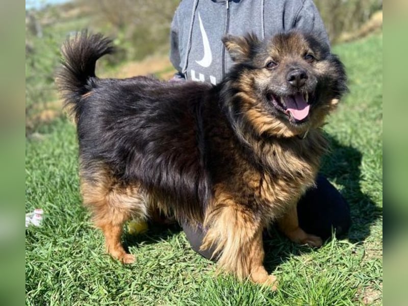 BUGY musste ein elendes Leben fristen