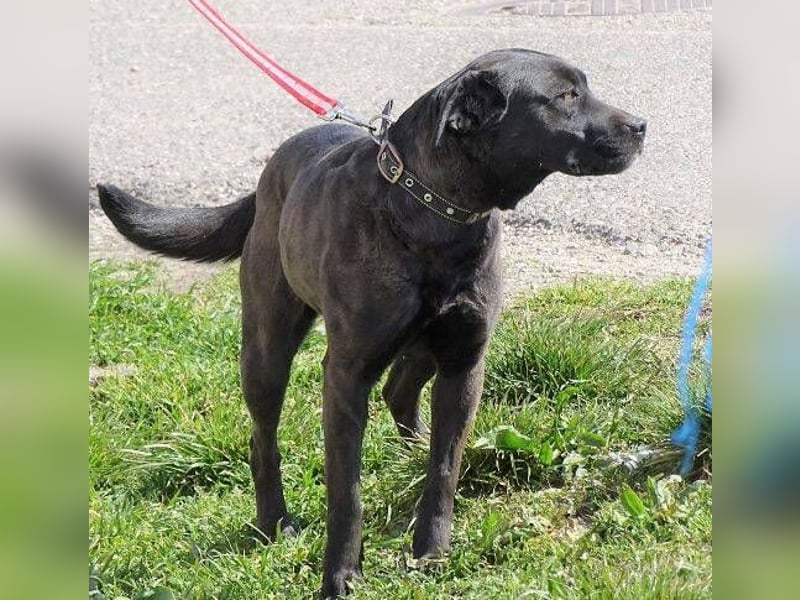 NIKA - Wer gibt ihr die Hoffnung zurück?